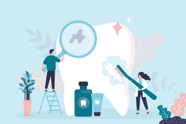 Best Preventive Dentistry  in St Henry, OH